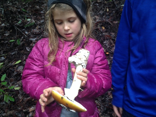 Willa with amanita coccora — the only edible mushroom in a family of deadly beauties