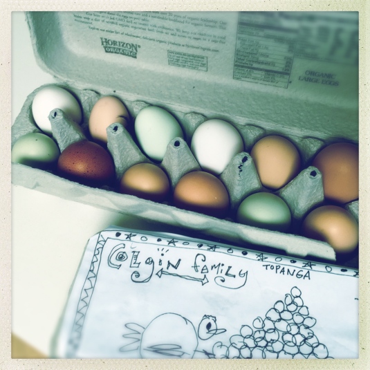 The eggs matter.